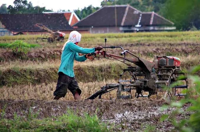 Apa Perbedaan Antara Rotavator dan Kultivator