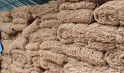 Riset cocomesh terbaru