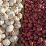manfaat bawang untuk tubuh