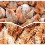 buat kerajinan dari sabut kelapa