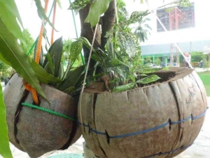 Sabut Kelapa Green Project