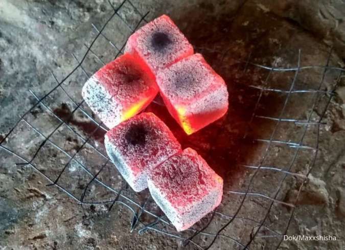 analisa usaha briket arang