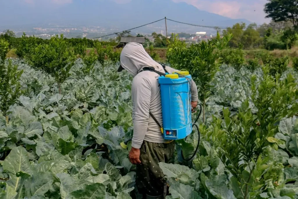 sprayer elektrik cocok untuk apa