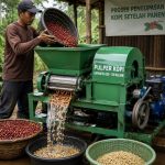 alat untuk mengupas kopi setelah panen